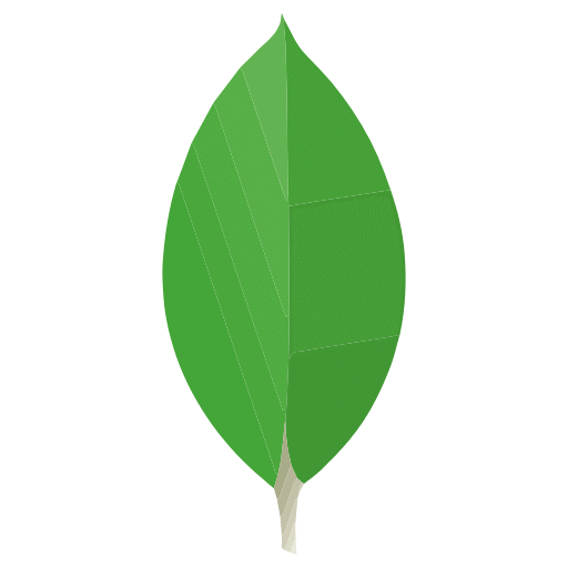 Python MongoDB App